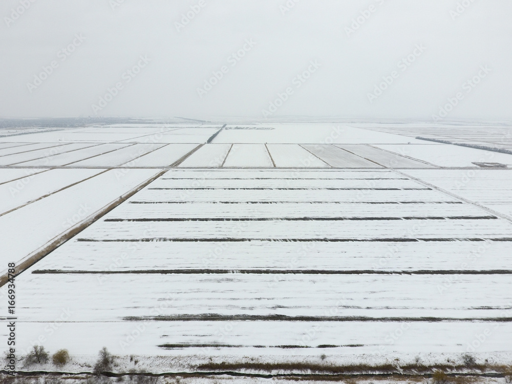 Top view of a plowed field in winter. A field of wheat in the snow