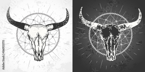 Vector illustration with a wild buffalo skulls with grunge elements.