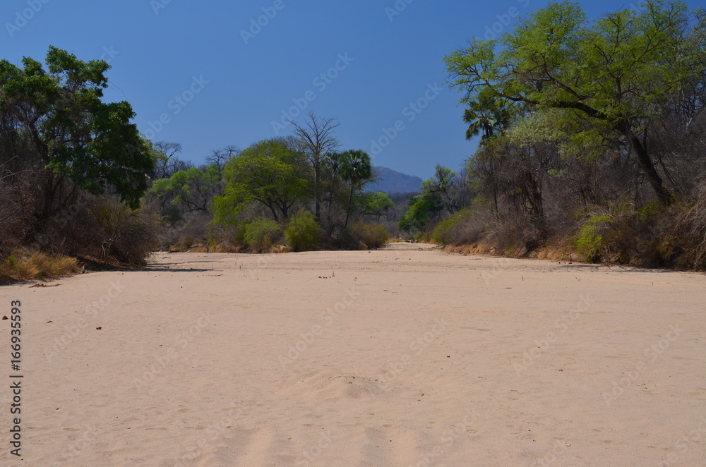 The African landscape. Zimbabwe. The African landscape. Zimbabwe.