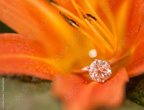 Engagement Diamond in the flower