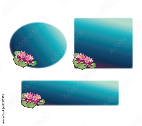 睡蓮　フレーム