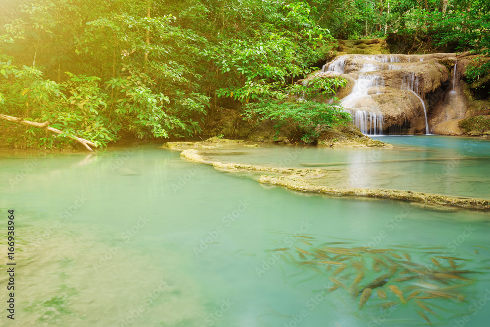 Naklejka premium Level 1 of Erawan Waterfall with Neolissochilus stracheyi fish in Kanchanaburi, Thailand