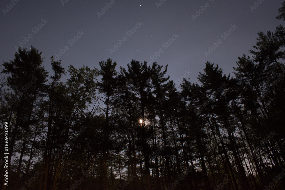 Night Sky Night Sky