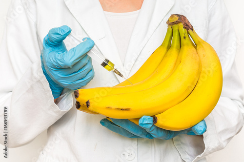 GMO scientist injecting liquid from syringe into bananas photo