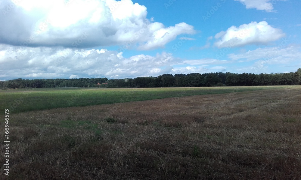 Fototapeta premium Petite balade champêtre