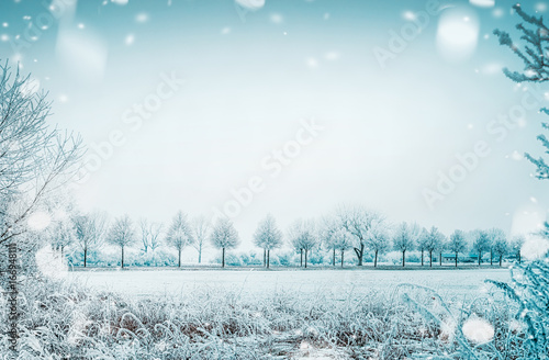 Obraz na plátně Winter day country landscape with frozen tress and snow, outdoor nature backgrou