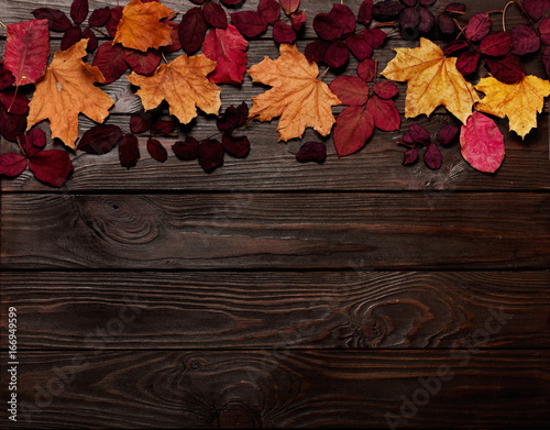 Flat lay frame of autumn crimson and yellow leaves on a dark wooden background.