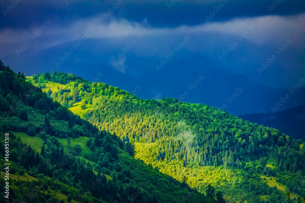 mountain peak with trees in fog cloud. Abstract nature background