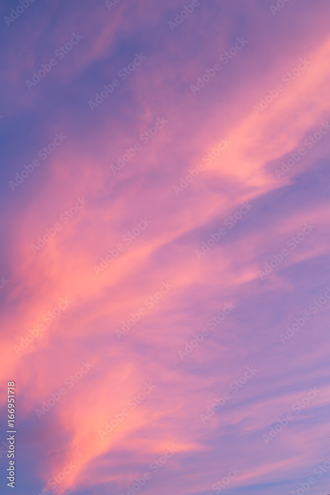 Bright pink clouds at sunset