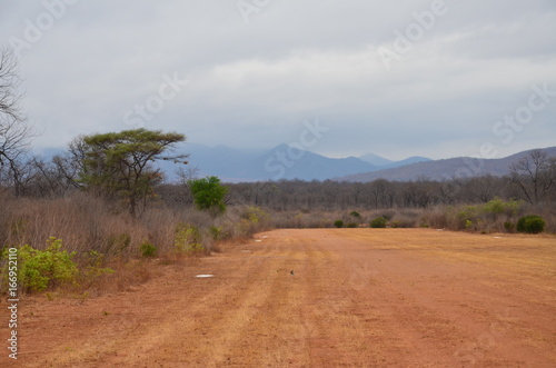 The African landscape. Zimbabwe.