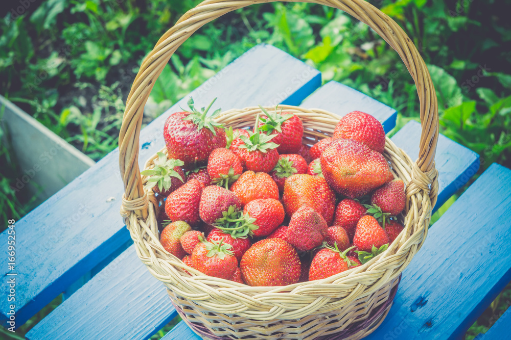 Strawberry in Basket on Grass Retro Strawberry in Basket on Grass Retro