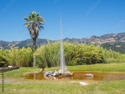 Old Faithful Geyser of California photo