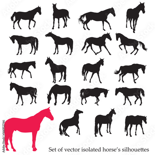 Set of isolated horse s silhouettes