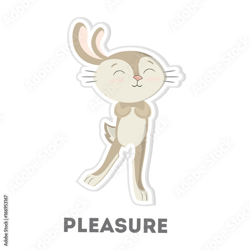 Isolated pleasured rabbit.