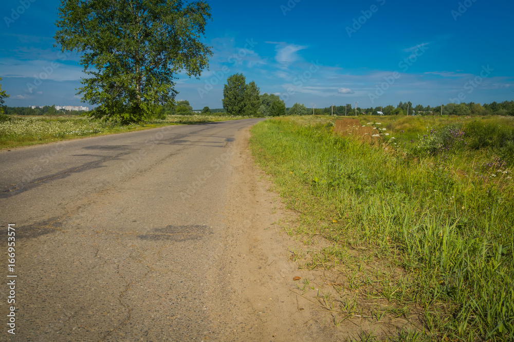 Sunny Cracked Rural Road