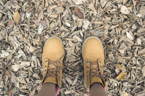 feet with sneakers on dry leaf, background