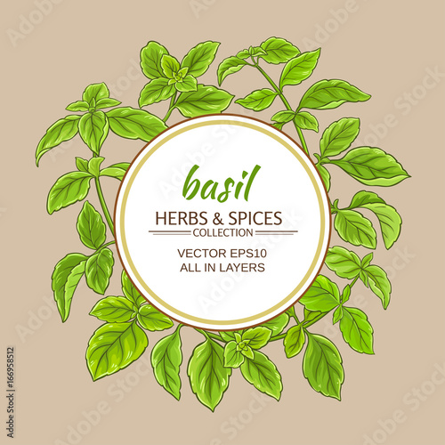basil vector frame