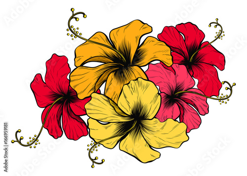 Hibiscus Flowers