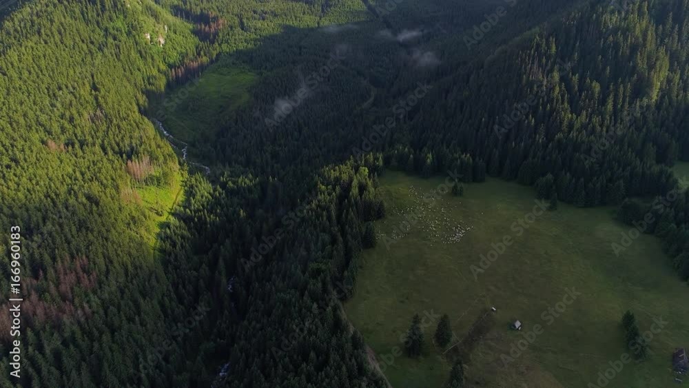 flight over forest in mountains flight over forest in mountains