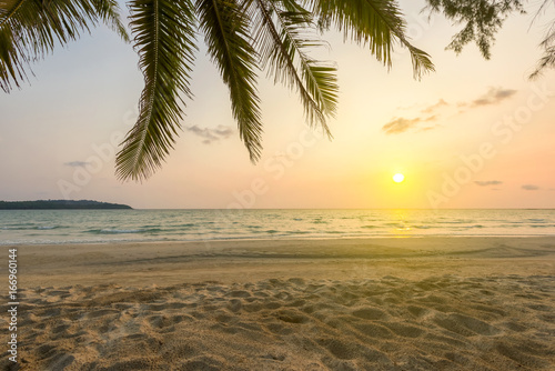 Sunset sky over tropical sea with beautiful beach and coconut tree