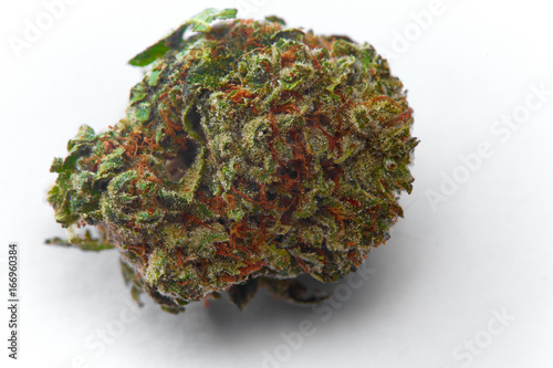 Close up of WiFi strain prescription medical marijuana flower bud