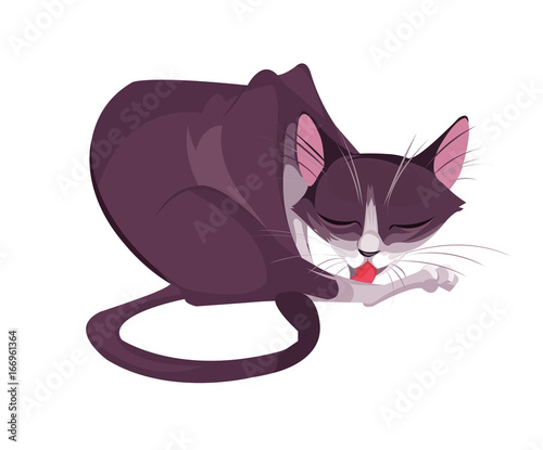 Digital vector funny comic cartoon big pink cat with tail licking its paw leg, hand drawn illustration, abstract realistic flat style