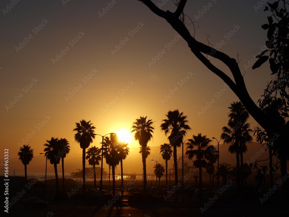 Obraz premium Venice Beach, LA, California