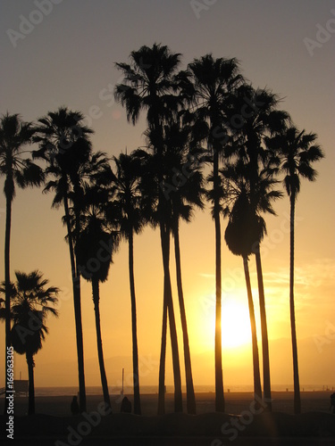 Venice Beach, LA, California