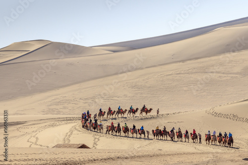 Camel caravan in Gobi desert in Dunhuang China 