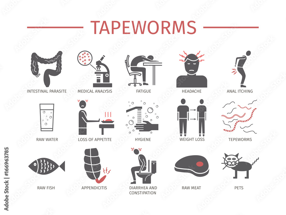 Tapeworms. Symptoms, Treatment. Flat icons set. Vector signs Stock Vector |  Adobe Stock