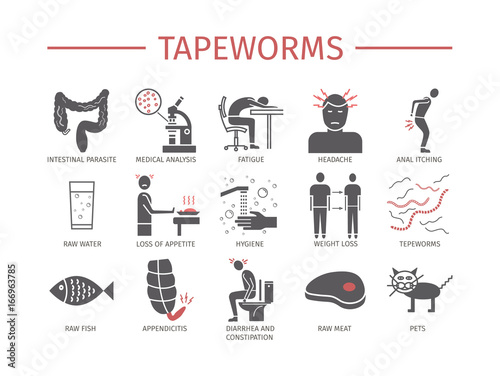 Tapeworms. Symptoms, Treatment. Flat icons set. Vector signs