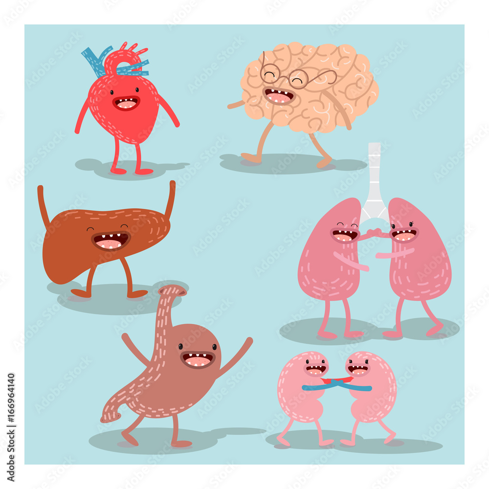 Cartoon human organs. Vector set. Healthy and strong cute liver, heart,  brain, lungs, kidneys and stomach. Cartoon anatomy Stock Vector | Adobe  Stock