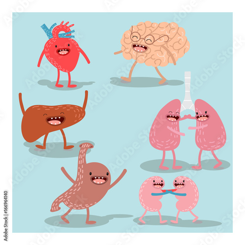 Fototapeta Naklejka Na Ścianę i Meble -  Cartoon human organs. Vector set. Healthy and strong cute liver, heart, brain, lungs, kidneys and stomach. Cartoon anatomy