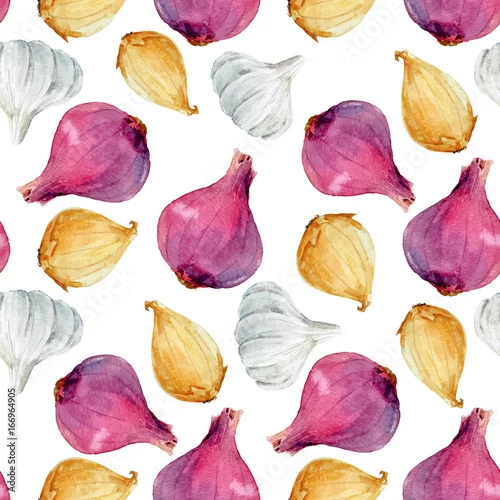 Tapety Akwarela cebula wektor wzór