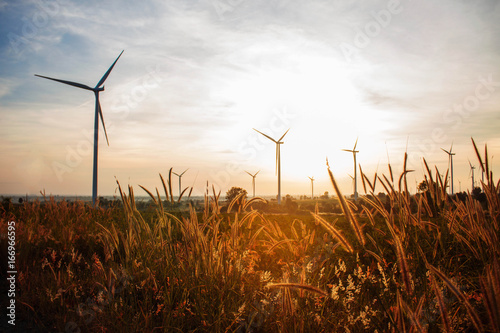 Grass in wind turbine farm.