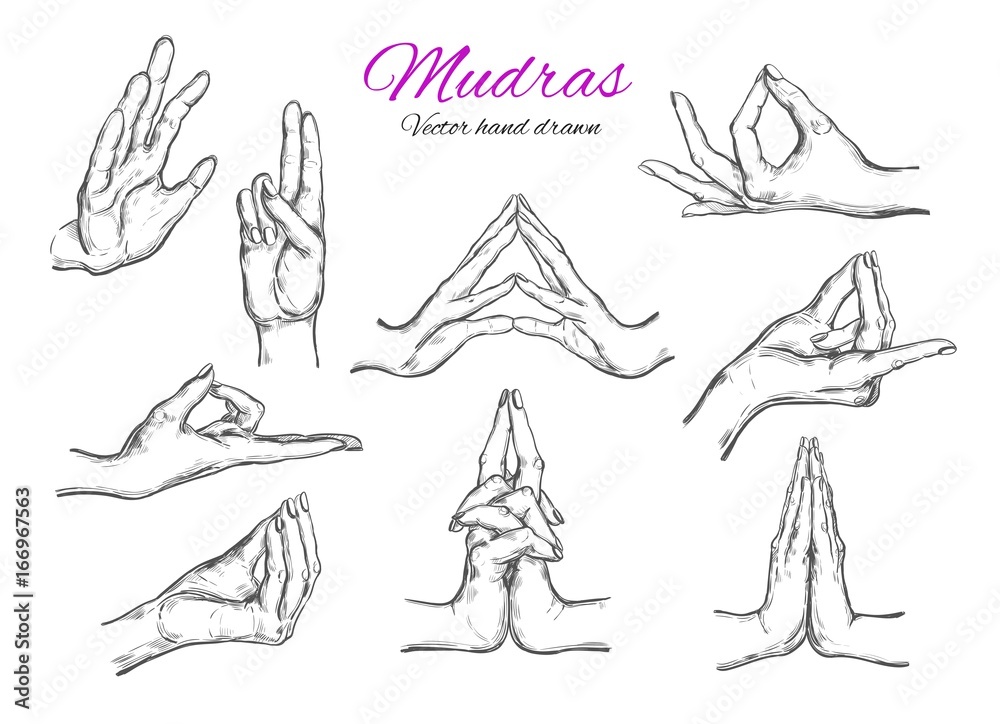 Vector hand drawn set of mudras. Isolated on white. Yoga. Spirituality. Sketch style . Hands
