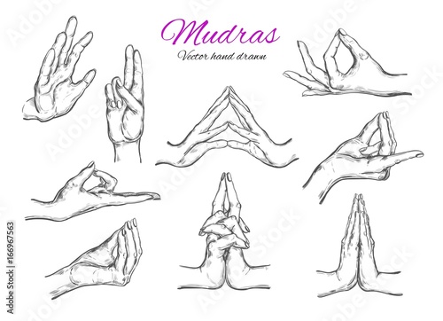 Vector hand drawn set of mudras. Isolated on white. Yoga. Spirituality. Sketch style . Hands