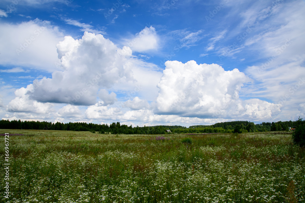 Rural landscape with clouds. European part of Russia. Rural landscape with clouds. European part of Russia.