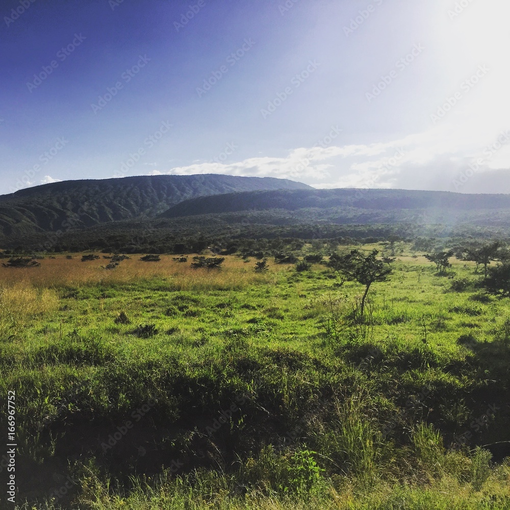 View of the base of Mount Longonot, an inactive volcano near Nairobi, Kenya: 