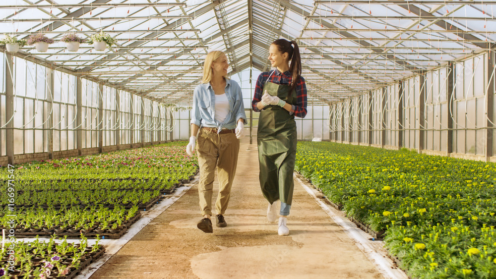Two Happy Industrial Greenhouse Workers Walk Through Rows of Colorful Flowers and Green Vegetables. They Smile and are Happy with Organic Food They're Growing. Two Happy Industrial Greenhouse Workers Walk Through Rows of Colorful Flowers and Green Vegetables. They Smile and are Happy with Organic Food They're Growing.