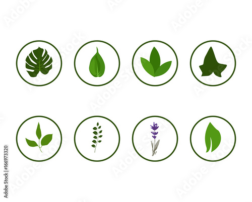 floral greenery icons in circle