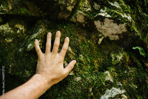 The man's hand touches the wall on which the moss of green grows. The concept of environmental protection.