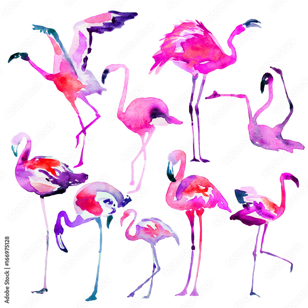 Fototapeta premium Beautiful watercolor flamingos, isolaned on a white. Big set.
