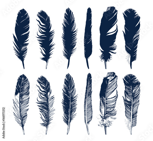 Hand drawn feathers set on white background