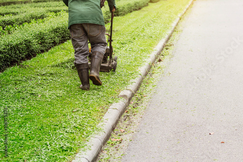 Workers in the park.