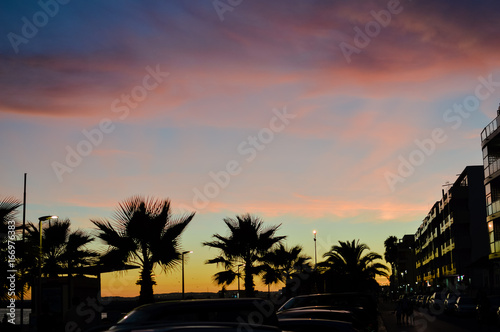 Night time silhouette of palm trees at sunset outdoors natural background © stormy
