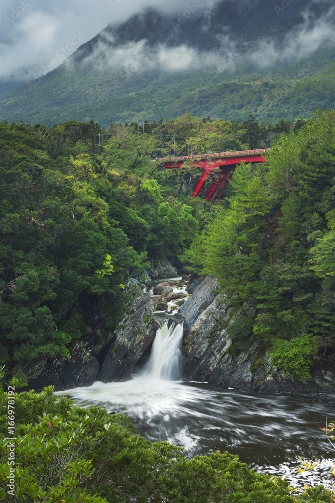 Fototapeta premium The Toroki Falls on Yakushima Island, Japan