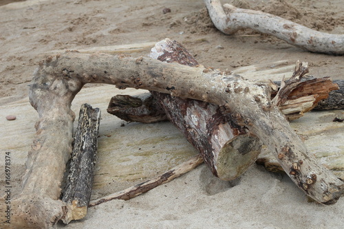 Driftwood