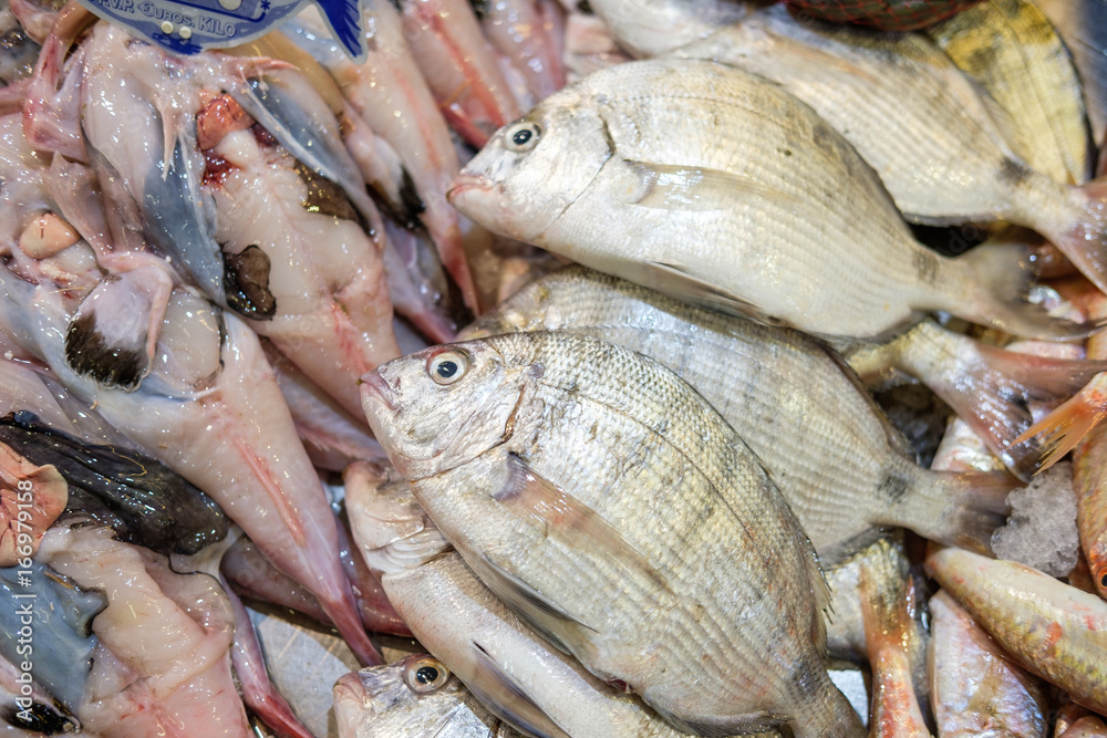 Raw fish Raw fish