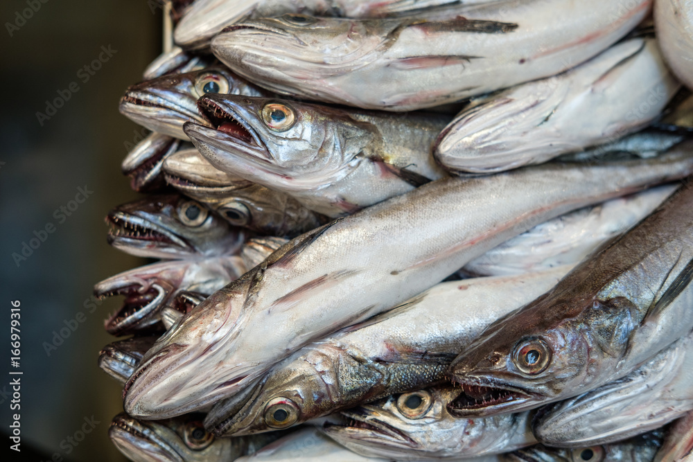 Raw fish Raw fish